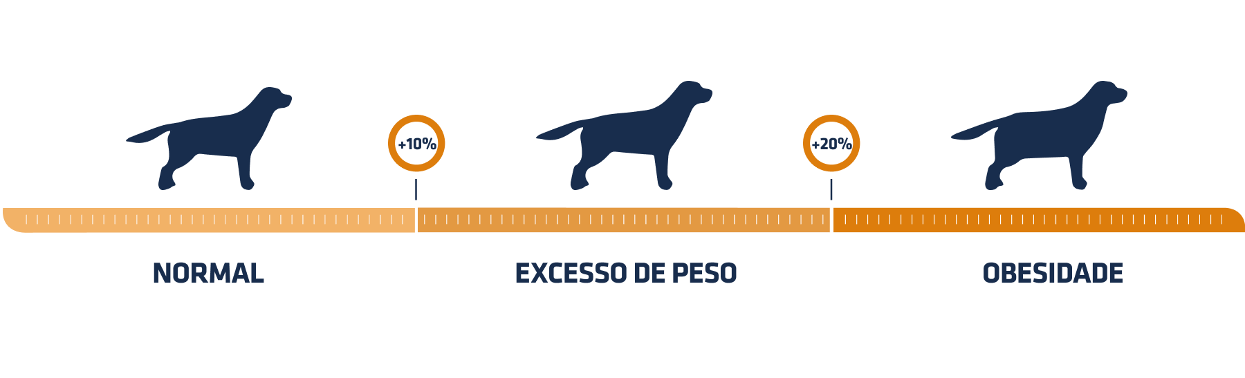 gráfico_sobre_peso_cao