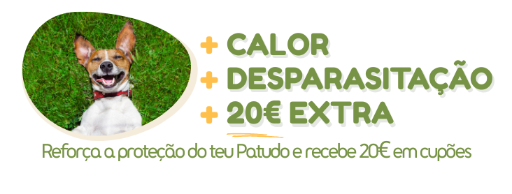 Encontra a melhor solução de desparasitação para o teu Patudo na NewPet