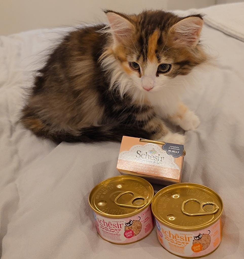 Newpet Patudo do Mês 2026.02 - Fevereiro'26