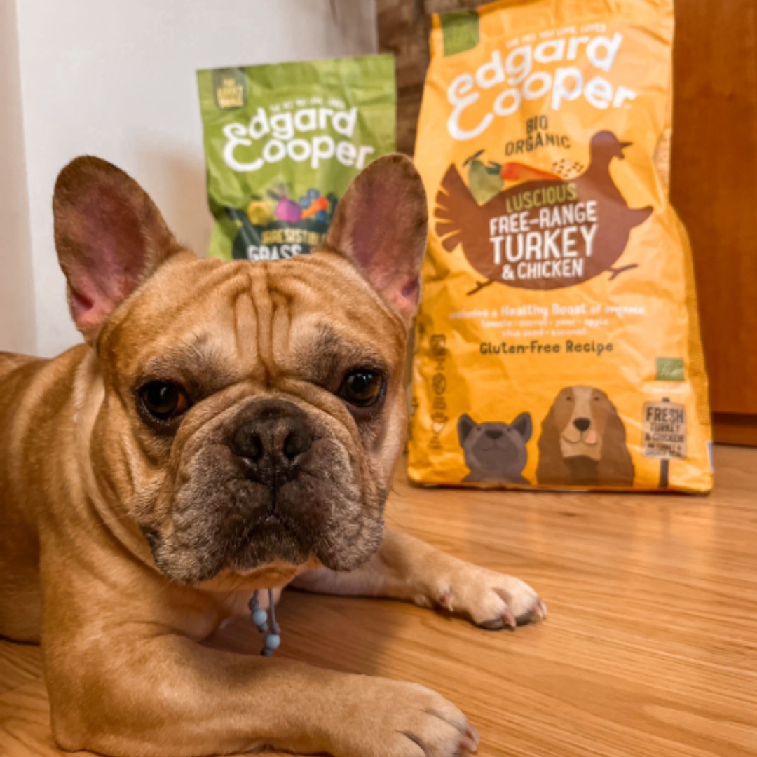 Patudo do Mês - Março'24