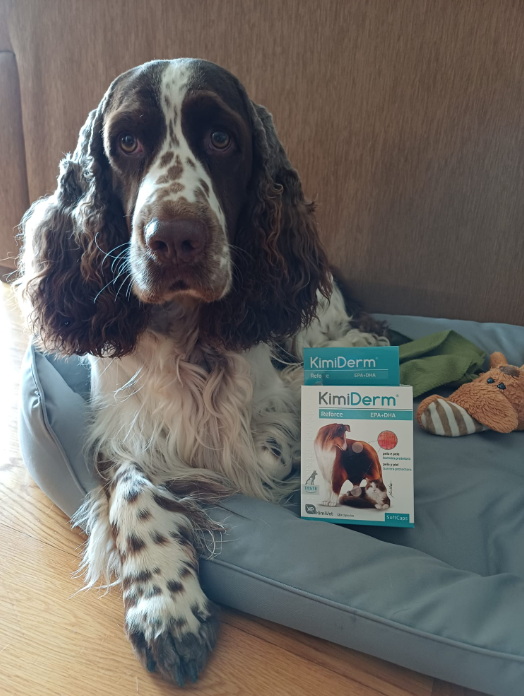 NewPet Patudo do Mês Abril 2025