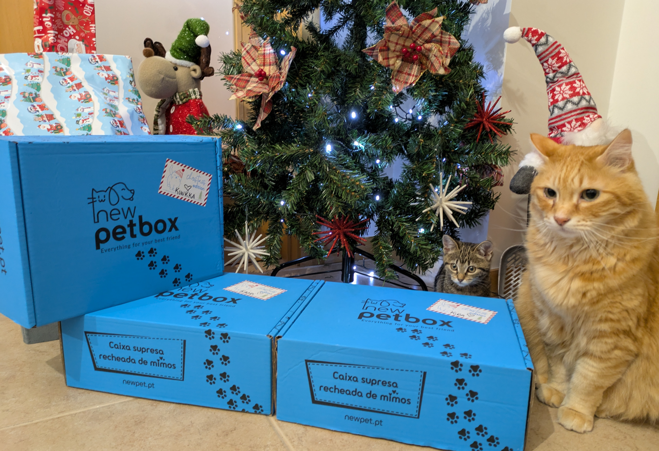 Patudo do Mês - Dezembro'24