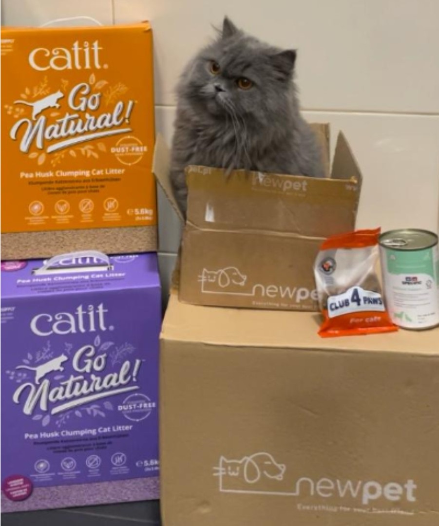 Patudo do Mês - Dezembro'23