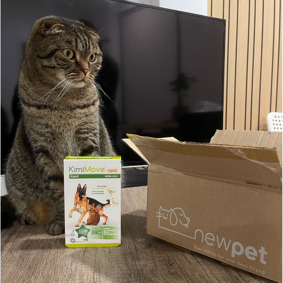 Patudo do Mês - Fevereiro'24