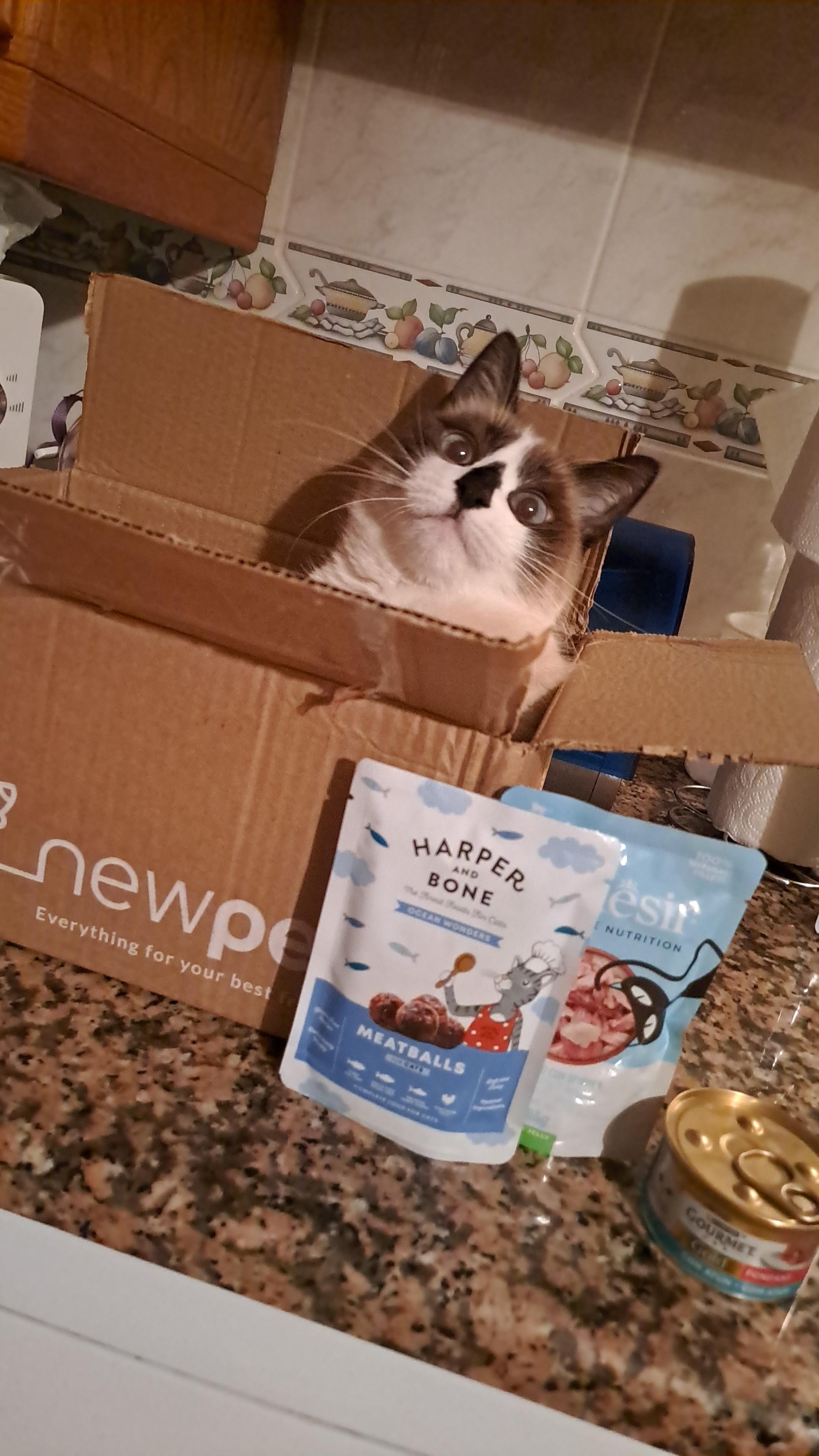 Patudo do Mês Janeiro'26