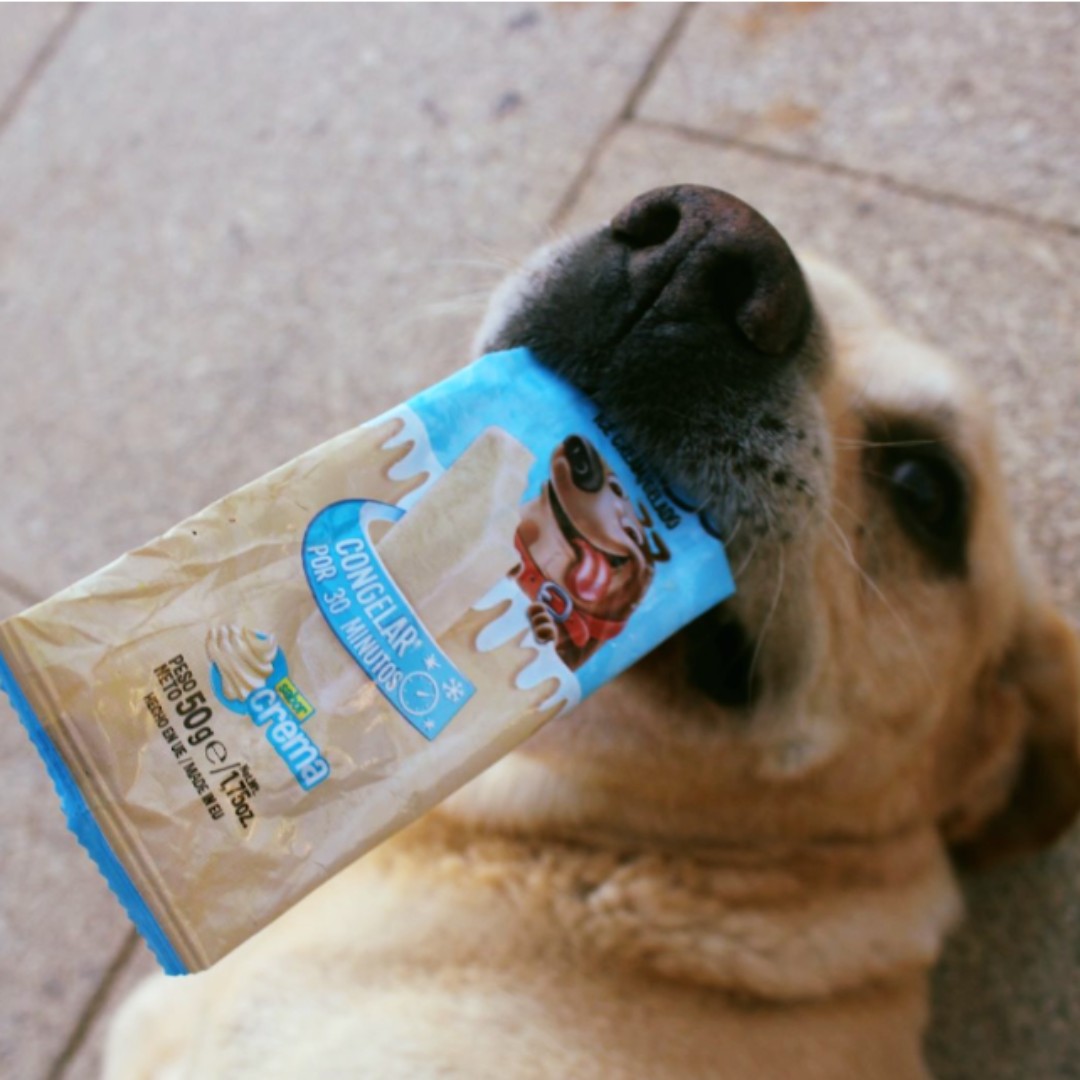 Patudo do Mês - Junho'23