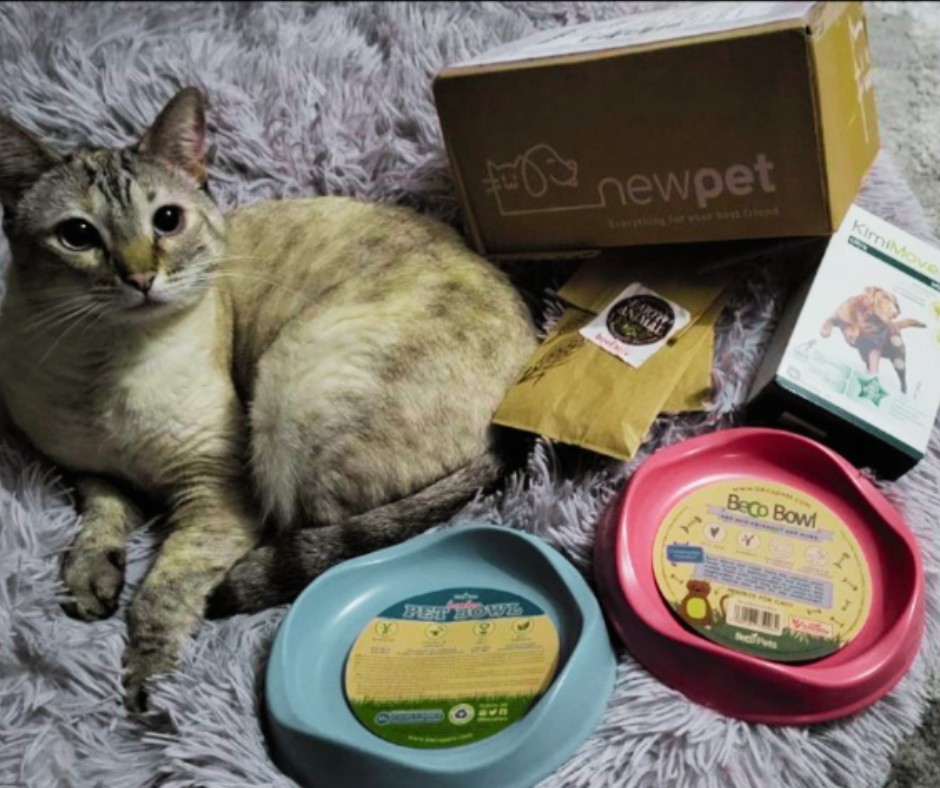 NewPet Patudo do Mês - Maio'23