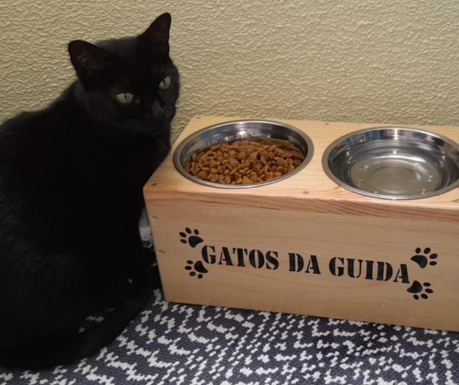 NewPet Patudo do Mês - Março 2023