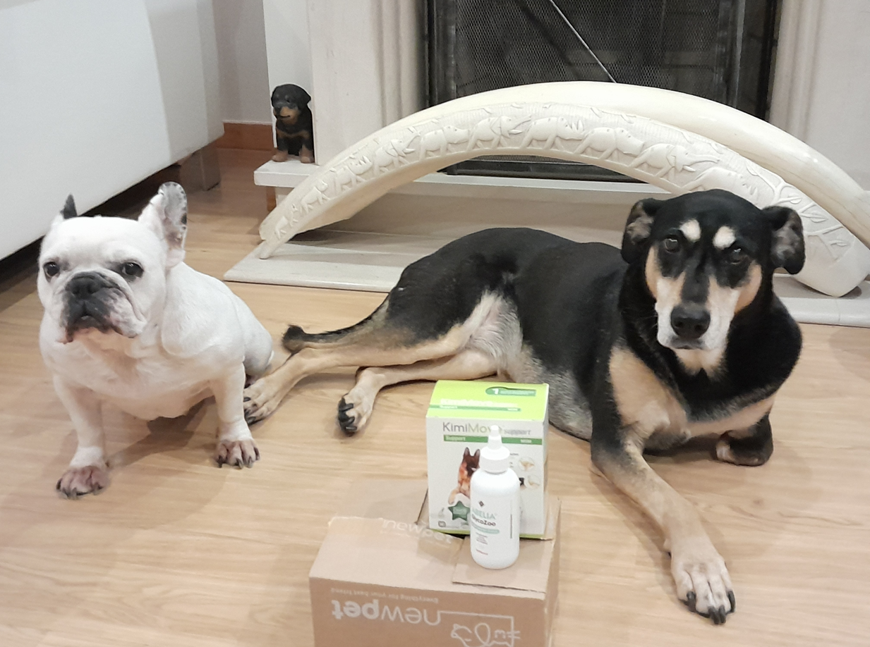 Patudo do Mês - Novembro'24