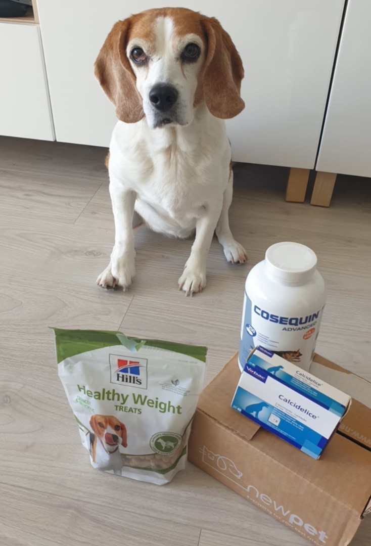 Patudo do Mês - Novembro'23