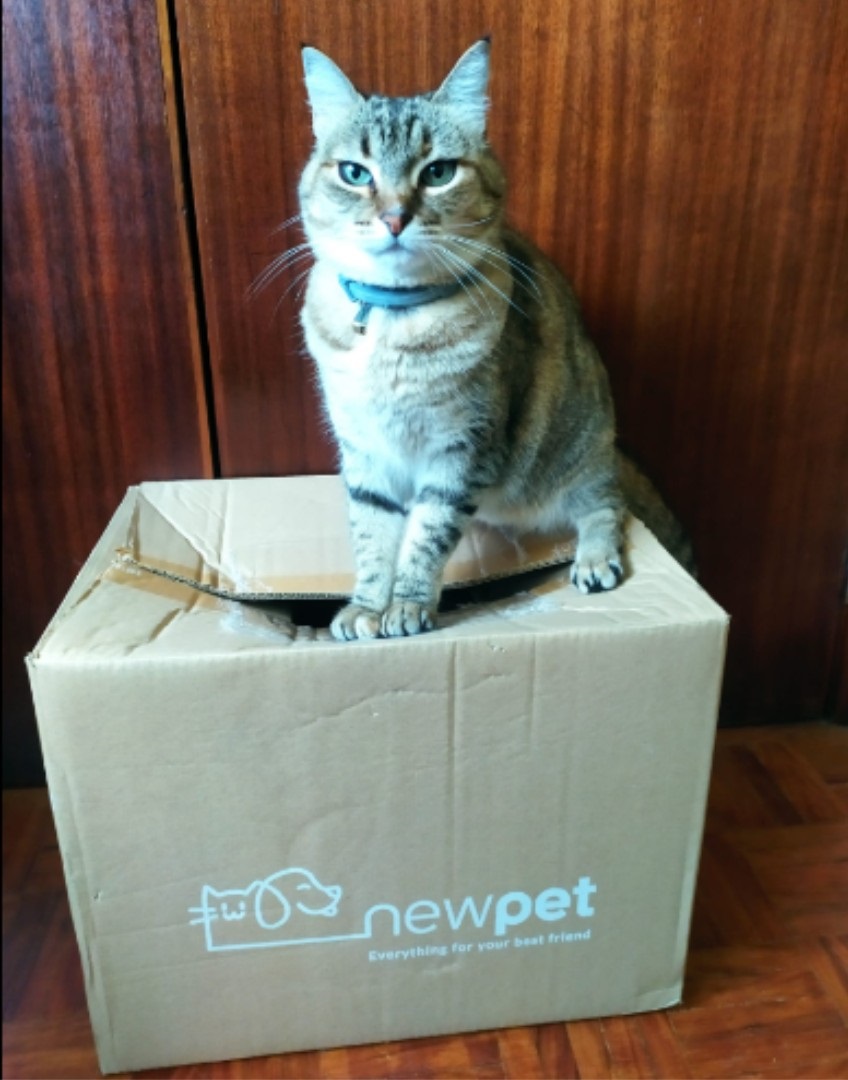 Patudo do Mês - Outubro'23