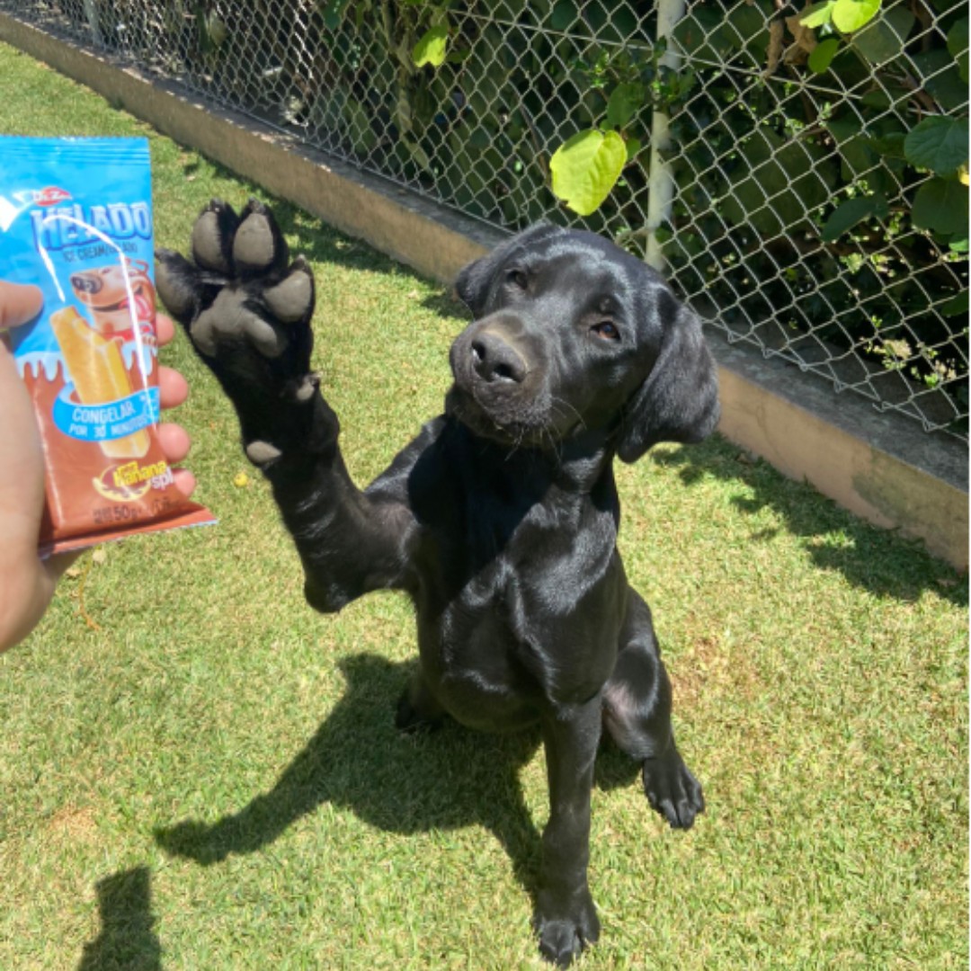 Patudo do Mês - Setembro'23