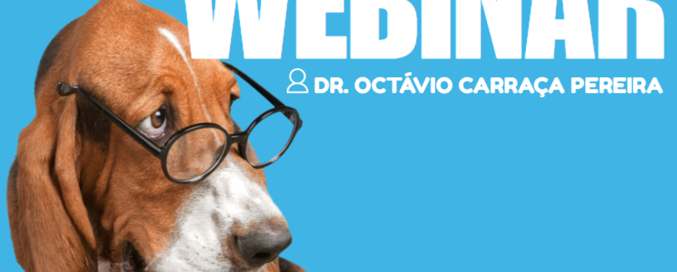 Seminario web de NewPet Boheringer: Parásitos externos en mascotas