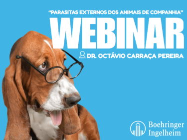 Seminario web de NewPet Boheringer: Parásitos externos en mascotas