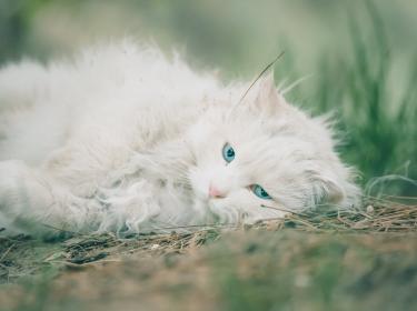 Photo by zhang kaiyv on Unsplash