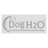 Dog H2O