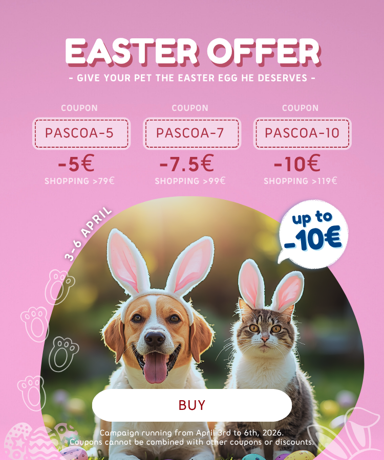 Easter Offer 2026