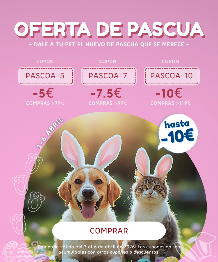 Oferta de Pascua 2026