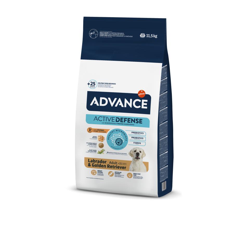 Advance Labrador & Golden Retriever