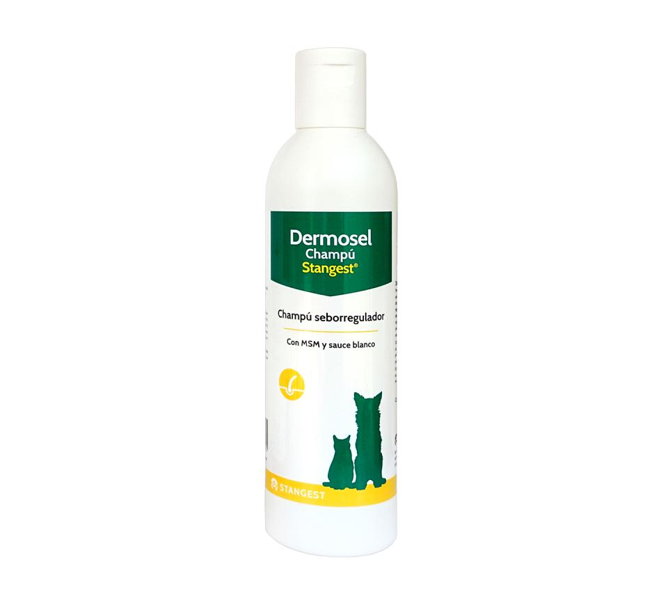 Dermosel Stangest Shampoo