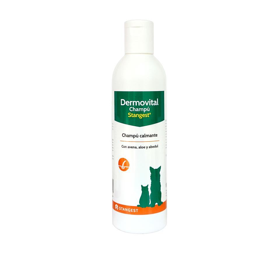 Dermovital Stangest Shampoo