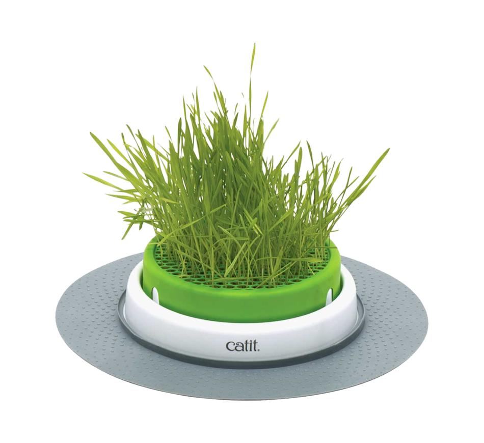 Catit Senses 2.0 Catnip Germinador