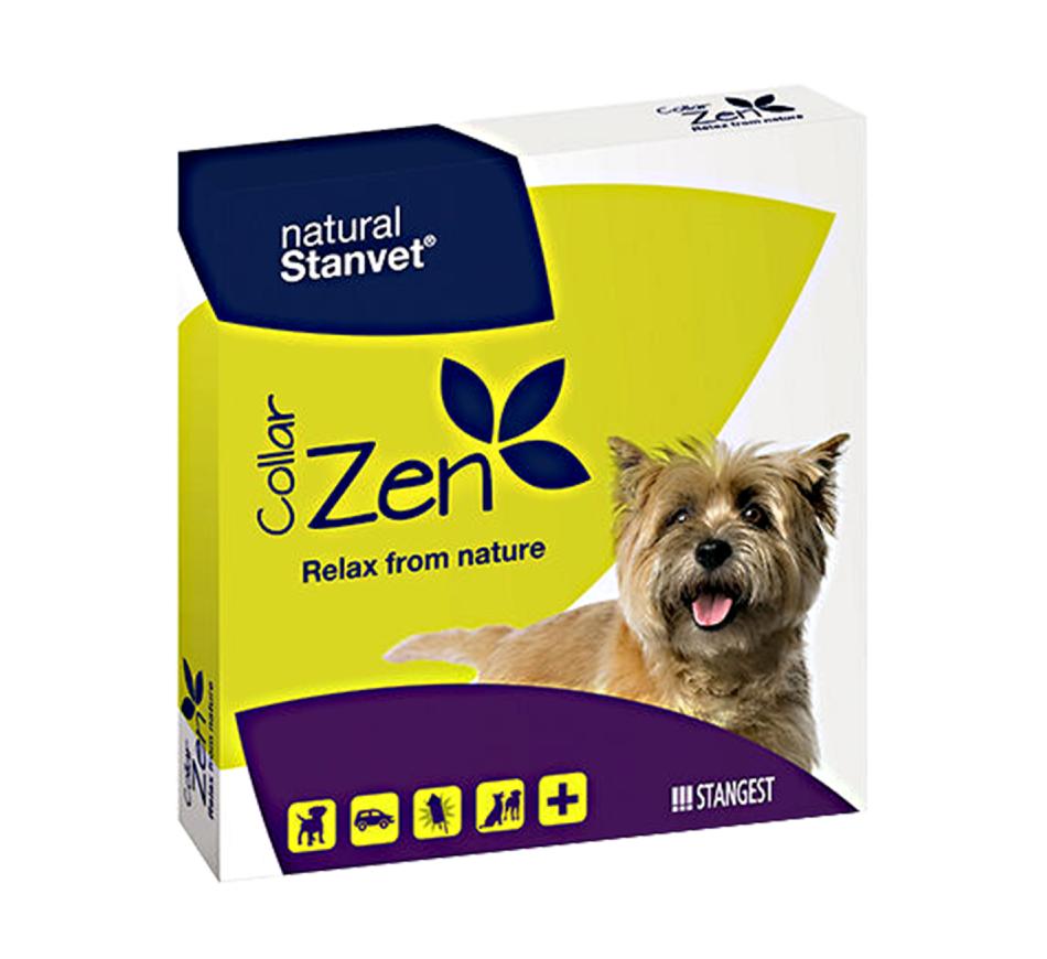 Collar Zen Cão Stangest