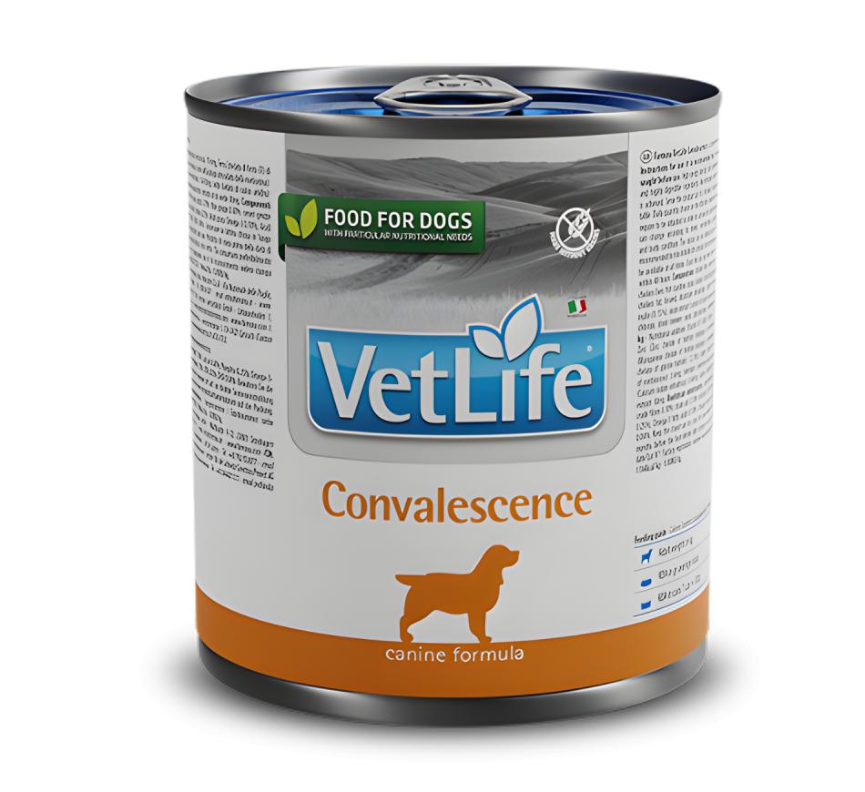 Farmina Vet Life Wet Cão Convalescence