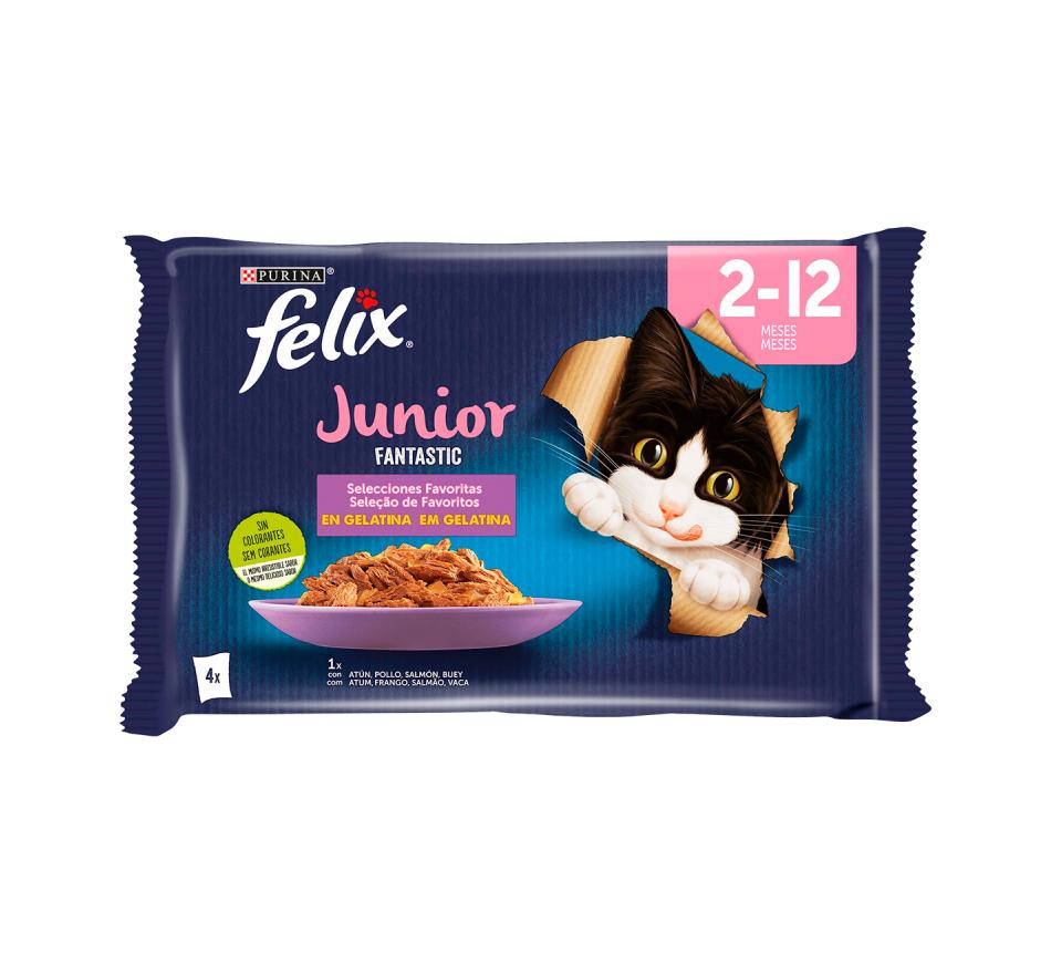 Felix Fantastic Junior em Gelatina Suculenta
