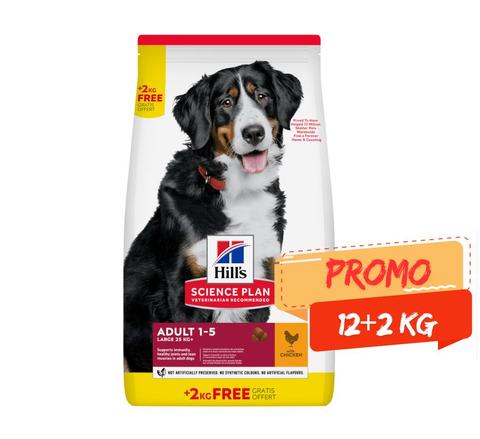 Hill's Science Plan Cão Adulto Raça Grande Frango 12+2kg