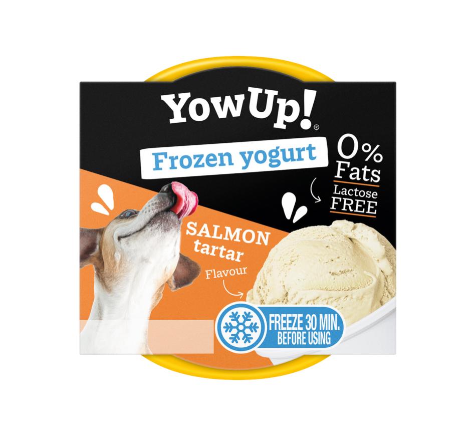 YowUp Iogurte Congelado Salmão 
