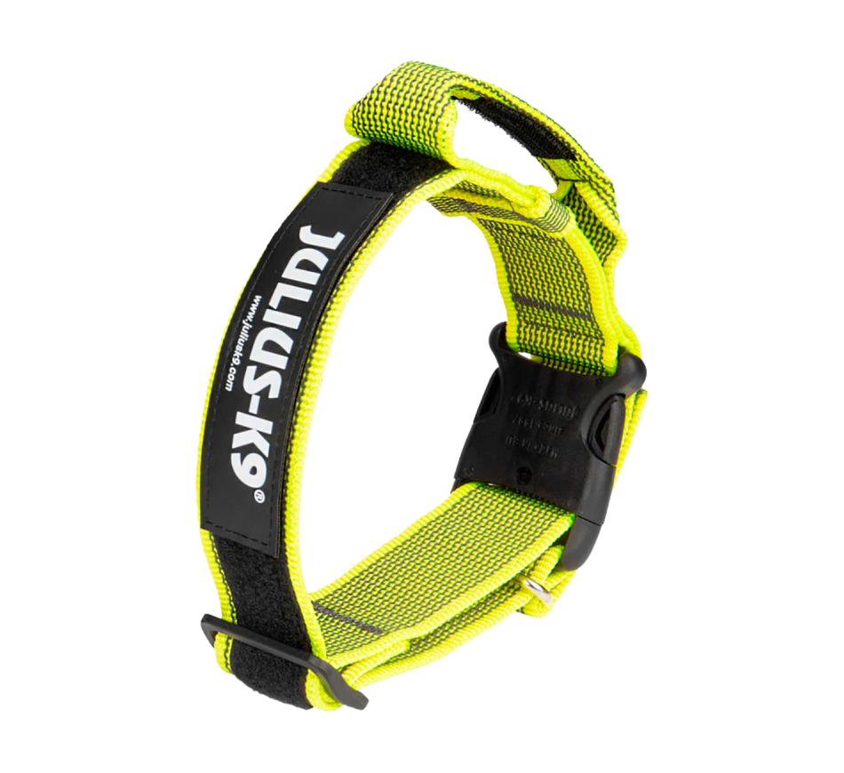 Julius K9 Coleira IDC Color & Gray com Pega - Amarelo Neon