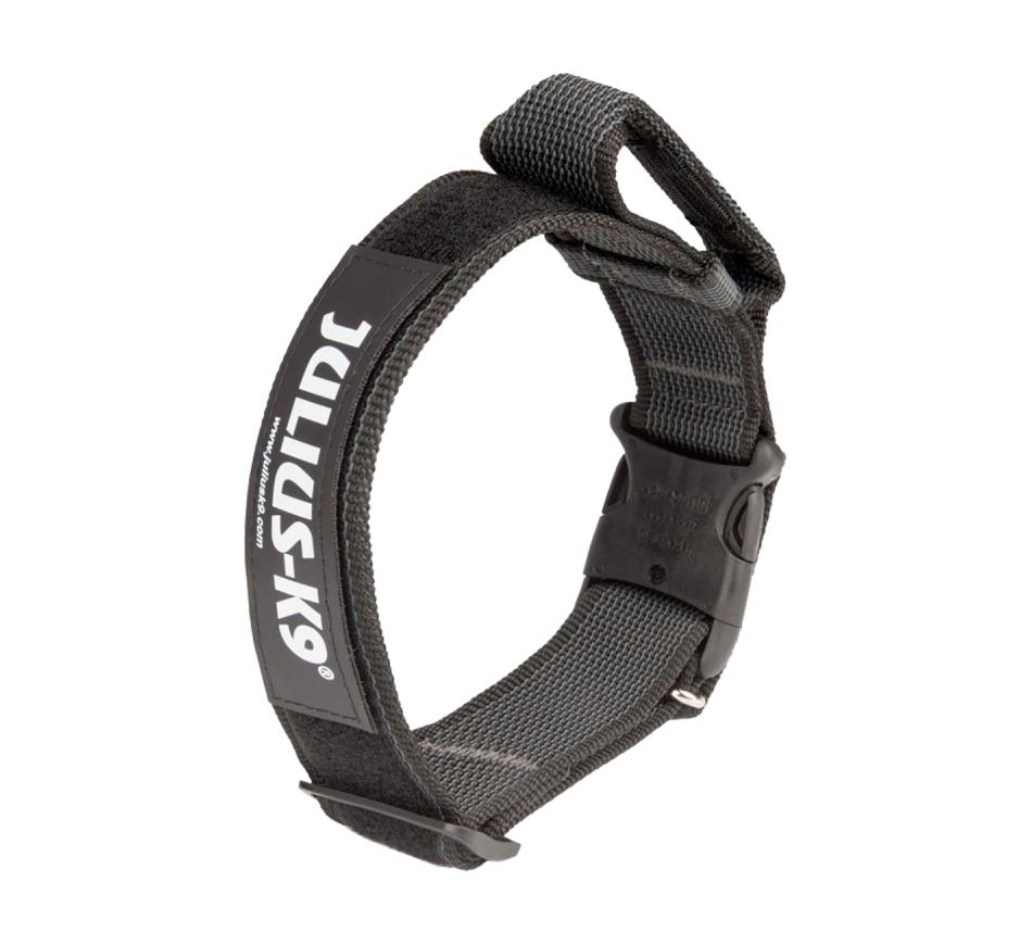 Julius K9 Coleira IDC Color & Gray com Pega - Preto
