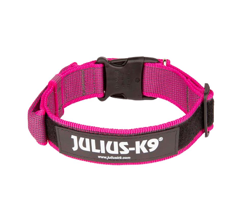 Julius K9 Coleira IDC Color & Gray com Pega - Rosa