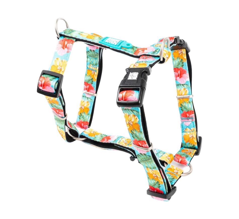 Arnês Cão Exotique - Max & Molly