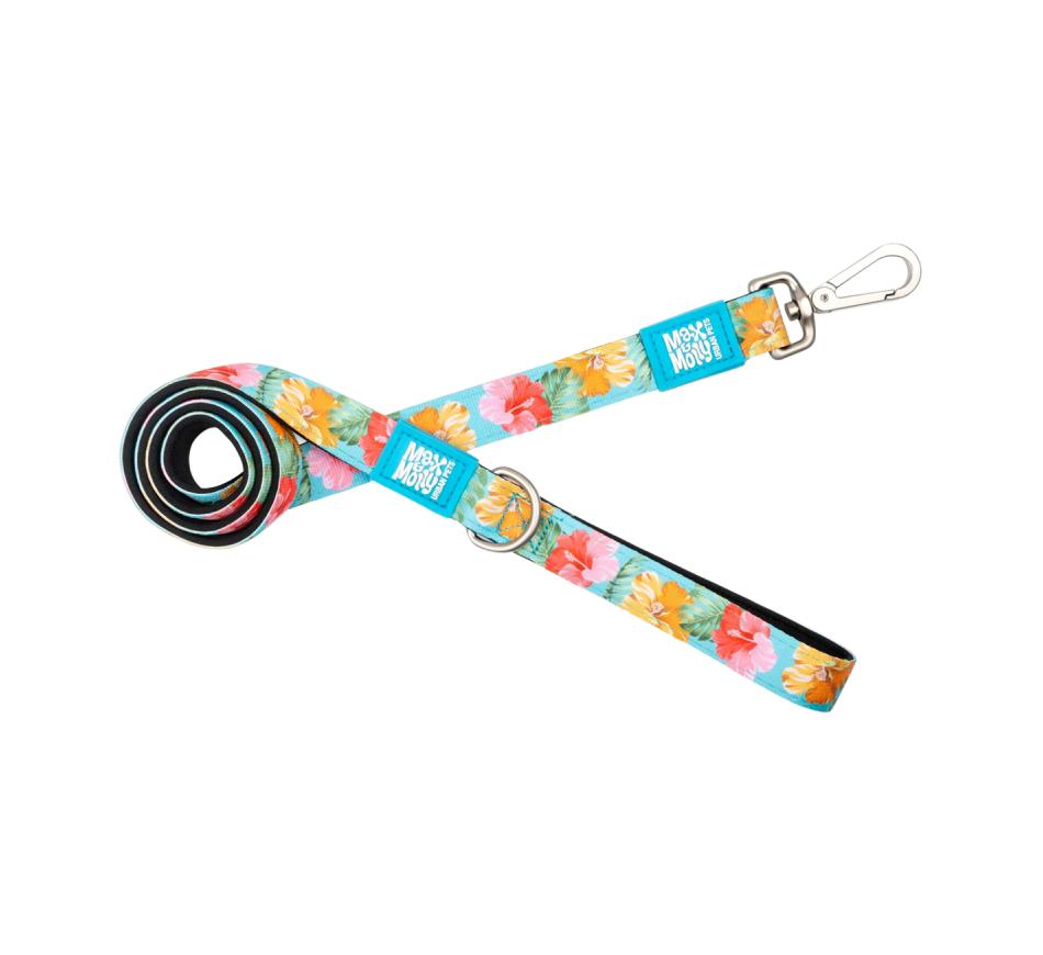 Trela Cão Exotique - Max & Molly