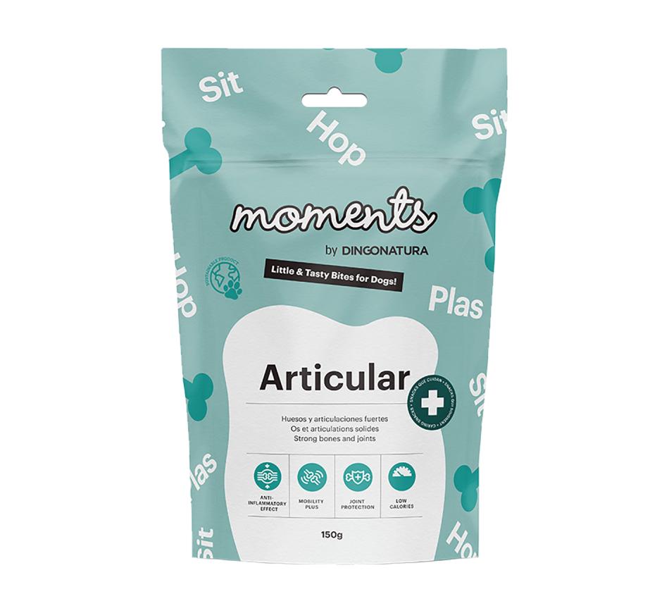 Moments Cão Articular