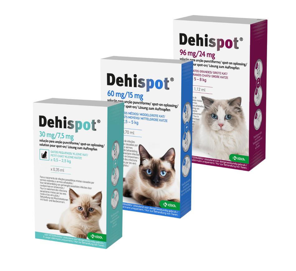 Dehispot Pipeta desparasitante interno para Gatos 