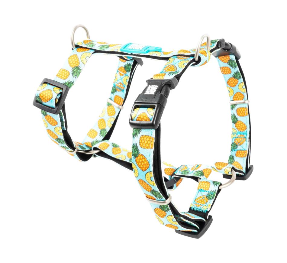Arnês Cão Pineapple - Max & Molly