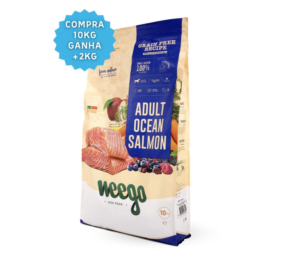 Weego Cão Adulto Ocean Salmon Grain Free Recipe 