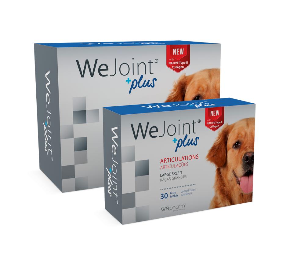 WeJoint +Plus - Raças Grandes