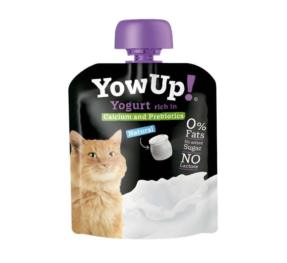 YowUp Iogurte Natural Prebióticos Gato